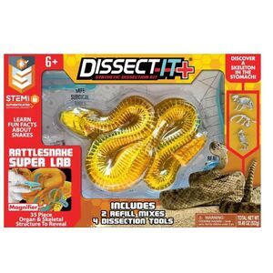 Top Secret Toy DISSECT IT A Synthetic Snake Rattlesnake Dissection Kit NEW